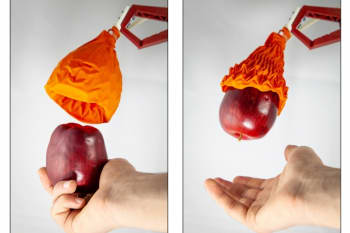 (Image courtesy of MIT.)